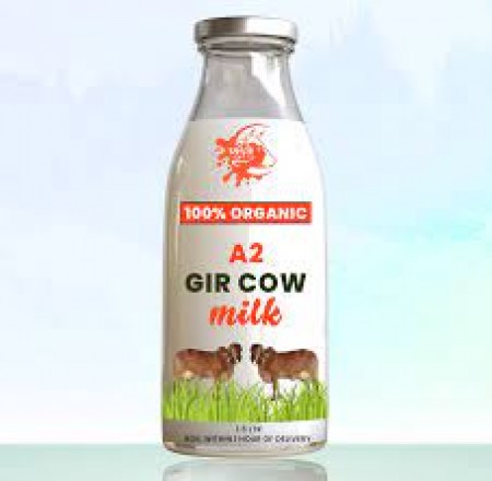 A2 GIR COW MILK