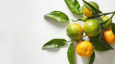 Green orange